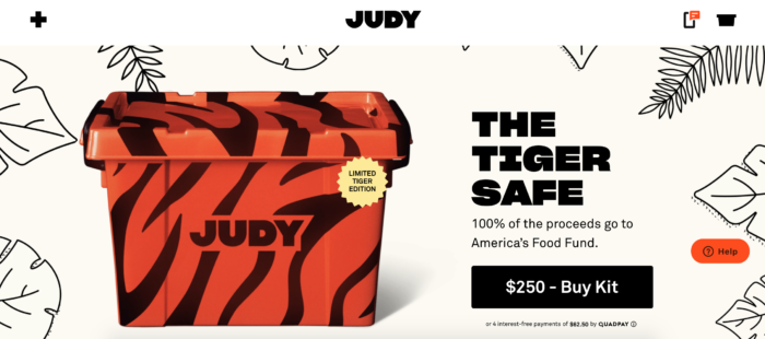 Judy's Tiger King-inspired kit